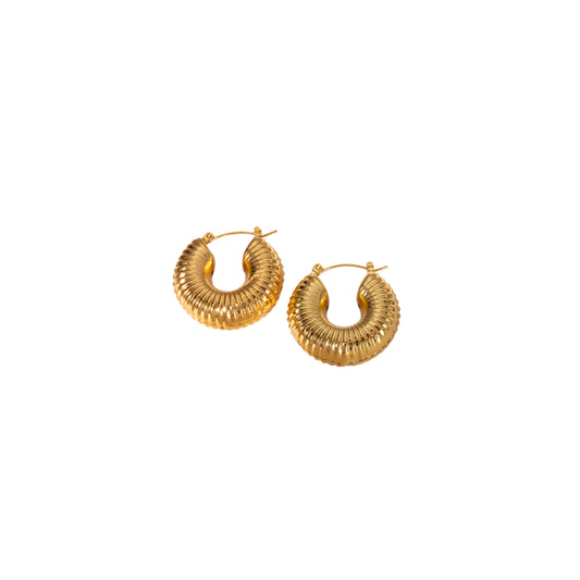 Everyday Hoops Earring
