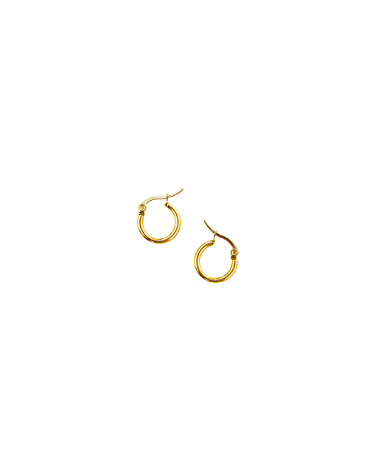 The Hoops Mini Earrings